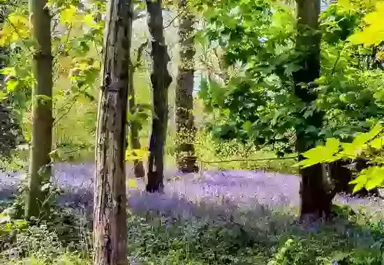Some of Our Favourite Walks